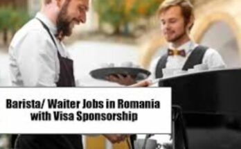 Waiter Jobs in Romania