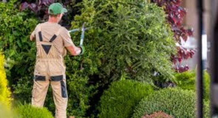 Gardener Helper Jobs in Canada