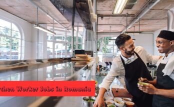 Kitchen Worker Jobs in Romania